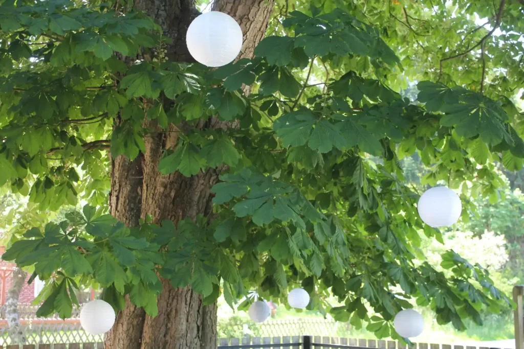 Hochzeitslocation in Bützow VIERBURG Bützow