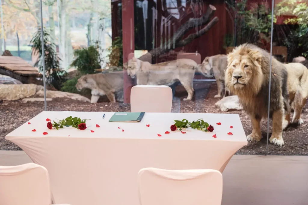 Hochzeitslocation in Schwerin Heiraten im Zoo Schwerin